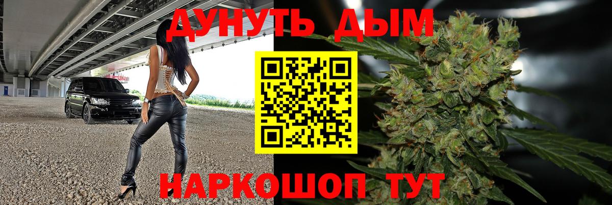 Конопля сатива Димитровград